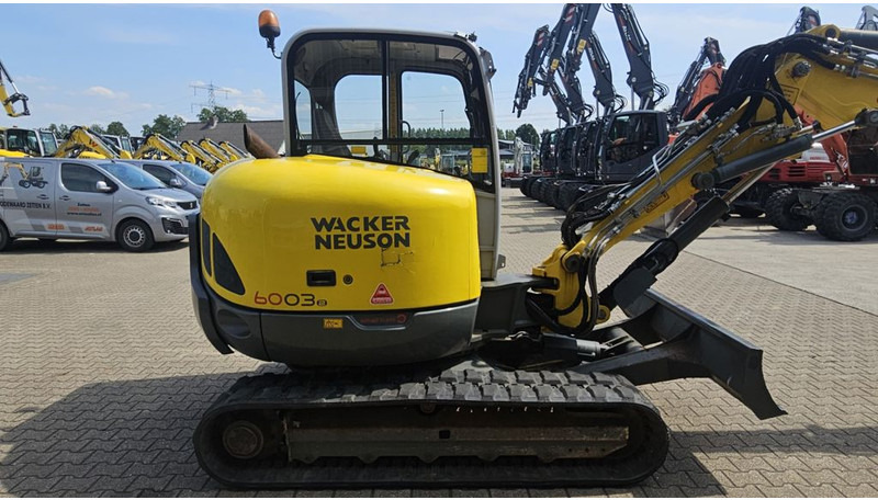 WACKER NEUSON 6003 - Paletli ekskavatör: fotoğraf 5 WACKER NEUSON 6003 - Paletli ekskavatör: fotoğraf 5