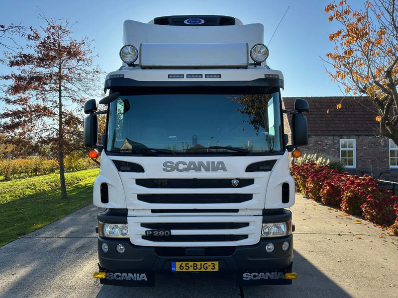 Scania P280 / NL TRUCK / EURO 6 / FULL AIR / CARRIER SUPRA 1250 / TOPCONDITION / LIFT+DOORS - Refrijeratör kamyon: fotoğraf 2 Scania P280 / NL TRUCK / EURO 6 / FULL AIR / CARRIER SUPRA 1250 / TOPCONDITION / LIFT+DOORS - Refrijeratör kamyon: fotoğraf 2