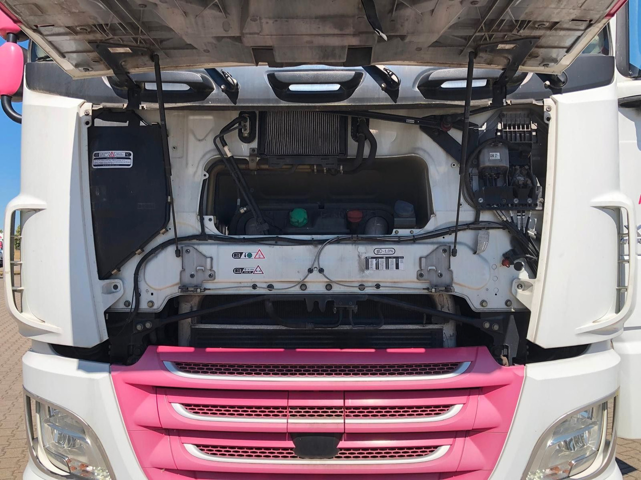 DAF XF460 SSC Liftachse*LBW*AHK*Standkl*Mega - Konteynır taşıyıcı/ Yedek karoser kamyon: fotoğraf 4 DAF XF460 SSC Liftachse*LBW*AHK*Standkl*Mega - Konteynır taşıyıcı/ Yedek karoser kamyon: fotoğraf 4