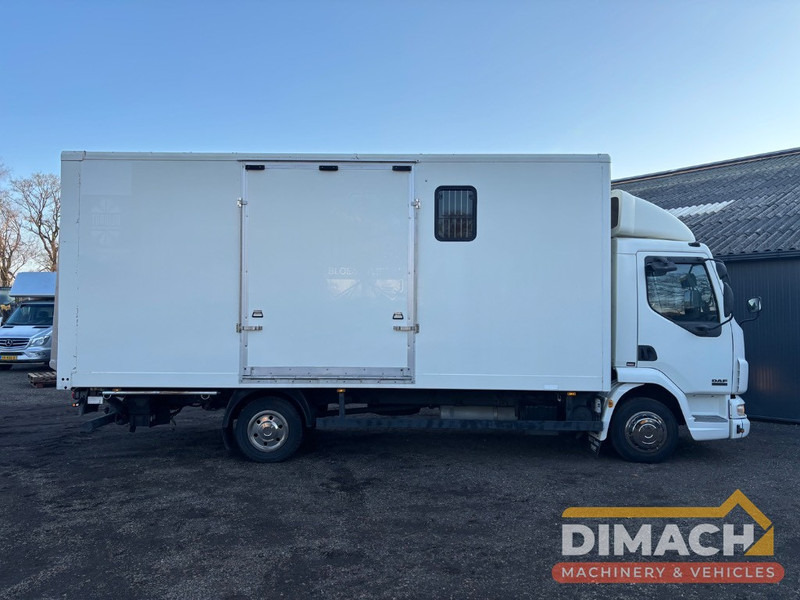 DAF FA LF45.150 4 paards, laadlift. Horsetruck NL truck - At taşıma aracı: fotoğraf 4 DAF FA LF45.150 4 paards, laadlift. Horsetruck NL truck - At taşıma aracı: fotoğraf 4