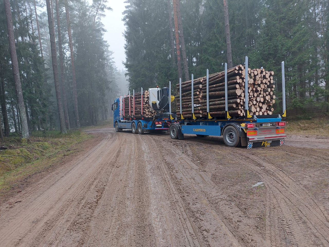 Hydrofast Przyczepa 2 osiowa do drewna stosowego HFP2/2-axle timber trailer HFP2 - Tomruk römorku: fotoğraf 3 Hydrofast Przyczepa 2 osiowa do drewna stosowego HFP2/2-axle timber trailer HFP2 - Tomruk römorku: fotoğraf 3