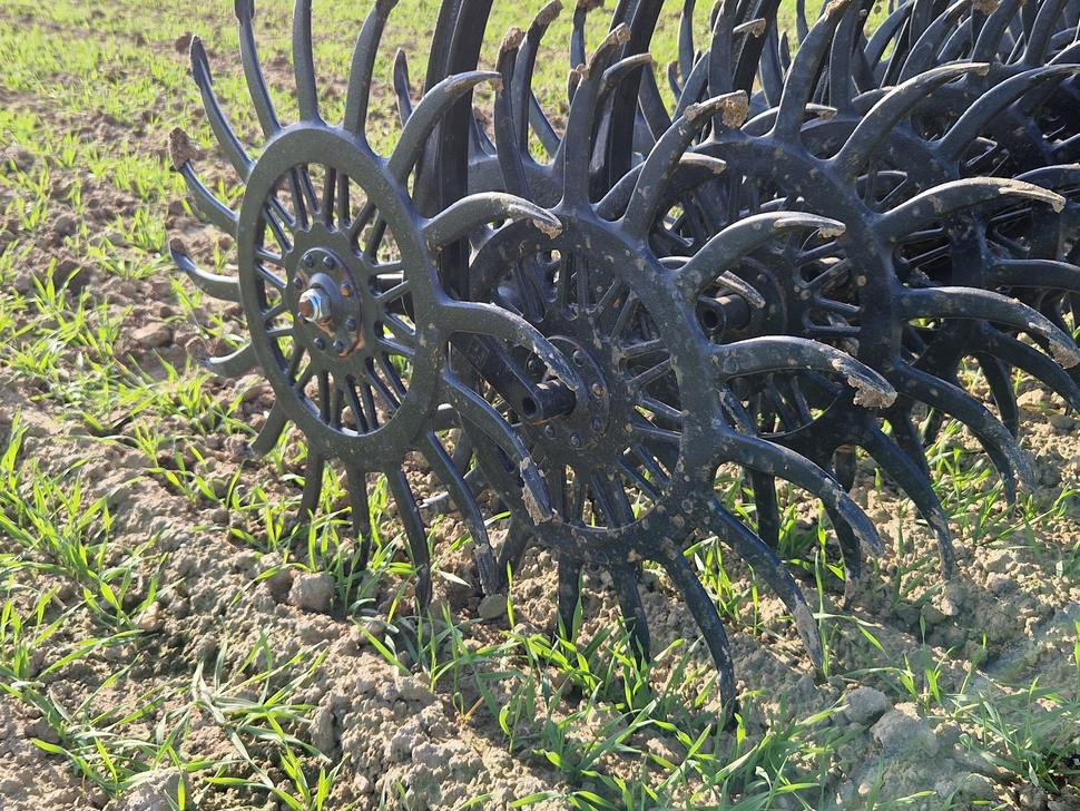 Namysło Rotorstriegel / Rotary hoe / Houe rotative / Ротационная борона / Brona wirnikowa / Pielnik 6,6 m - Kültivatör: fotoğraf 4 Namysło Rotorstriegel / Rotary hoe / Houe rotative / Ротационная борона / Brona wirnikowa / Pielnik 6,6 m - Kültivatör: fotoğraf 4
