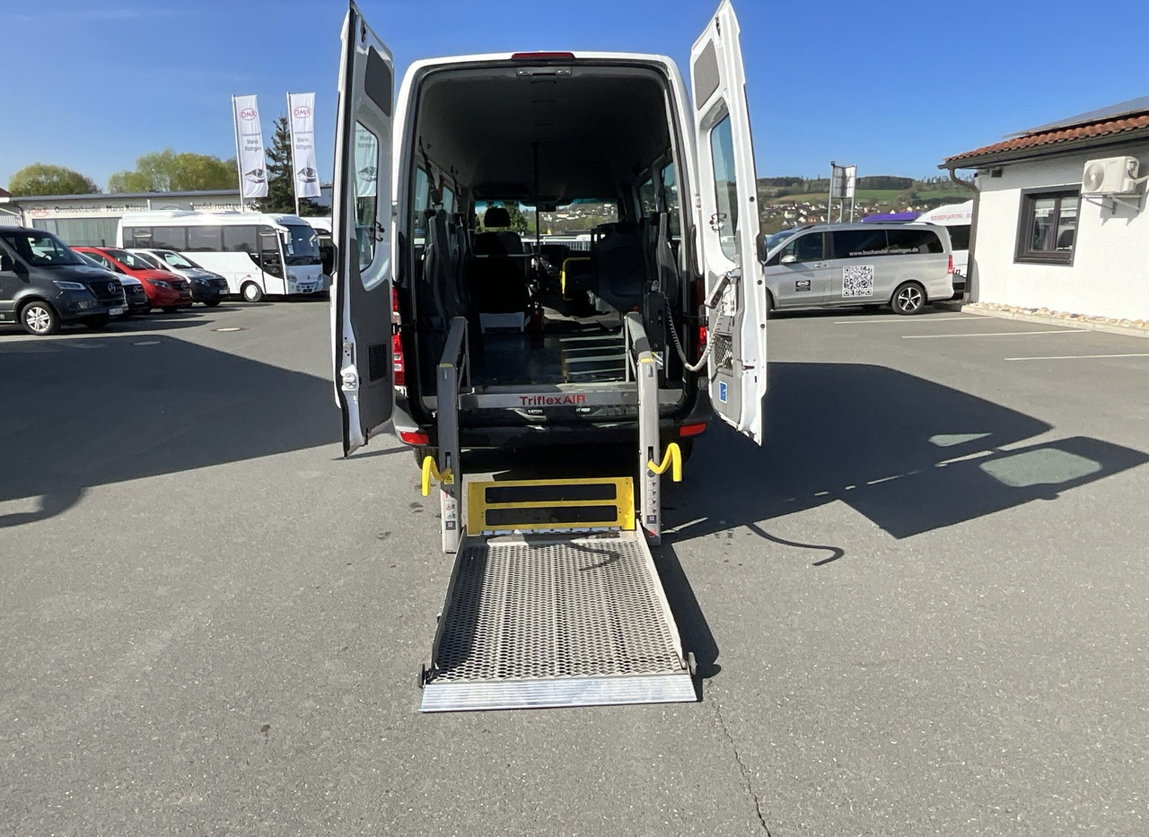 Minibüs, Minivan Mercedes-Benz 313 CDI Sprinter: fotoğraf 11