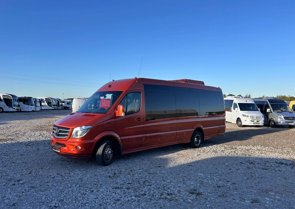 Minibüs, Minivan Mercedes-Benz Sprinter 519: fotoğraf 8