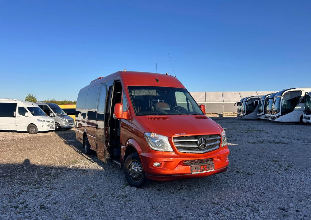 Minibüs, Minivan Mercedes-Benz Sprinter 519: fotoğraf 10