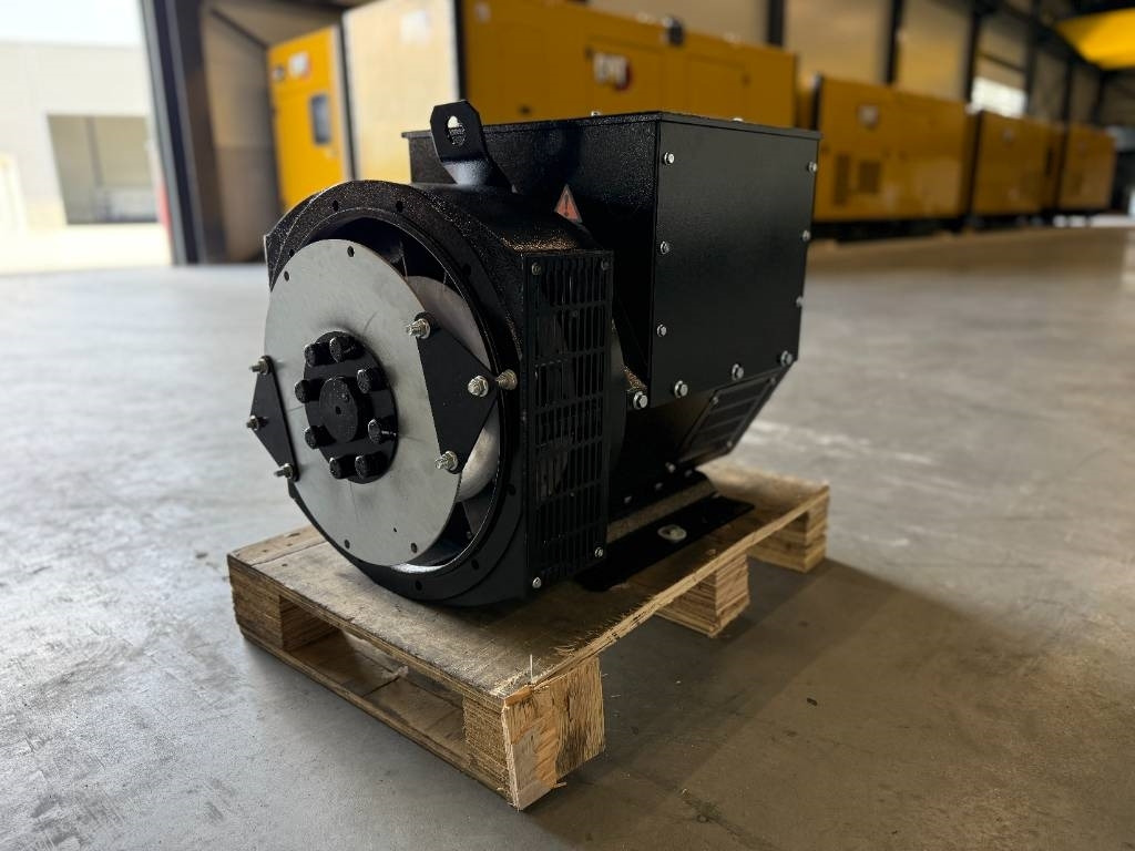 DPX CJ224D - 50 kVA Alternator - DPX-33903 - Elektrikli jeneratör: fotoğraf 4 DPX CJ224D - 50 kVA Alternator - DPX-33903 - Elektrikli jeneratör: fotoğraf 4