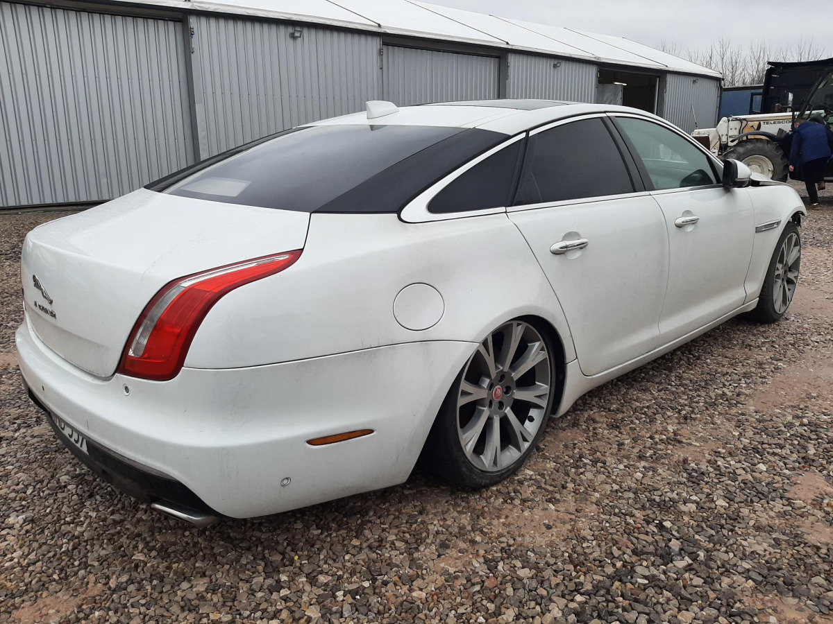 JAGUAR XJ SEDAN - Binek araba: fotoğraf 4 JAGUAR XJ SEDAN - Binek araba: fotoğraf 4