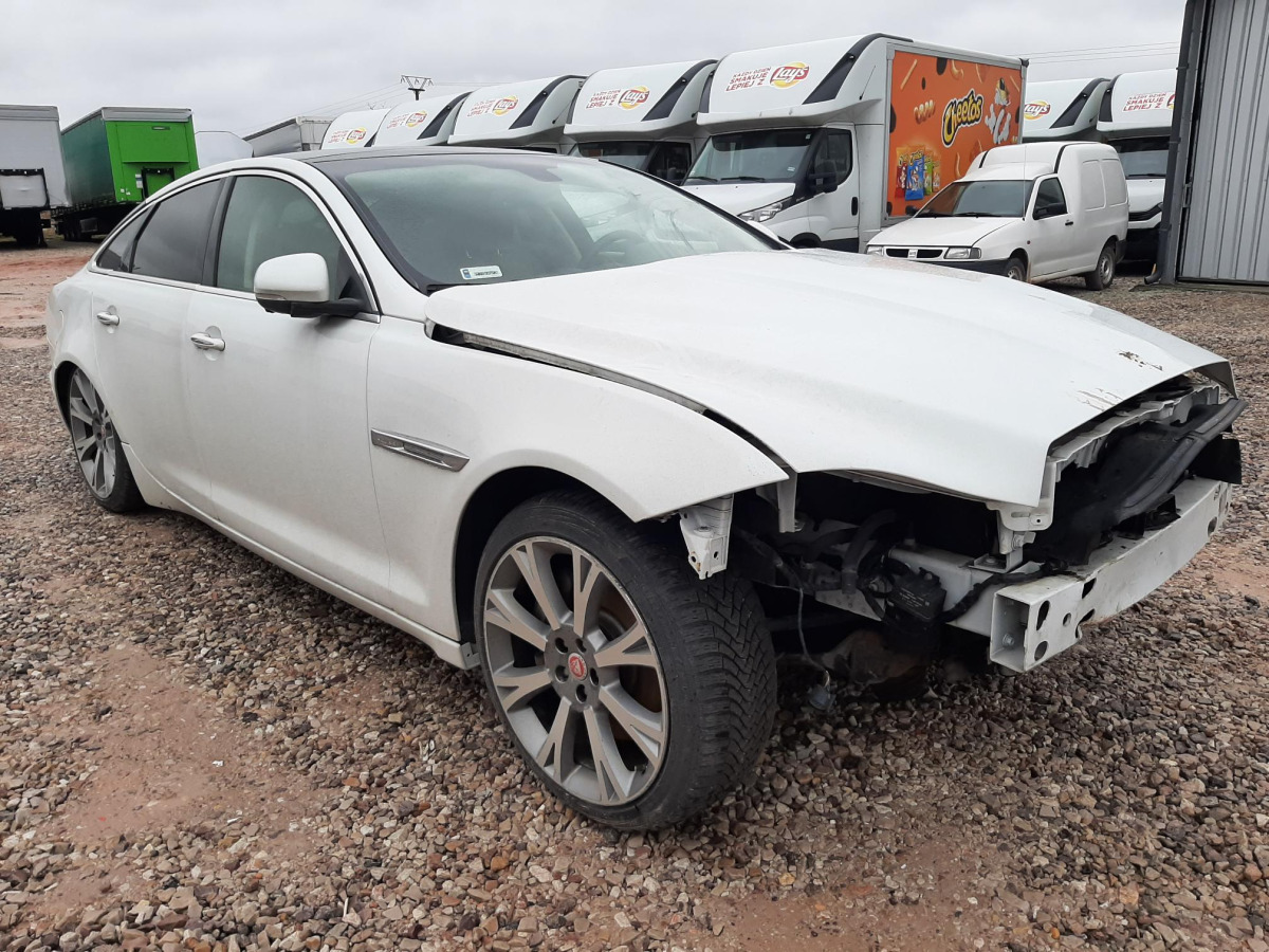JAGUAR XJ SEDAN - Binek araba: fotoğraf 1 JAGUAR XJ SEDAN - Binek araba: fotoğraf 1