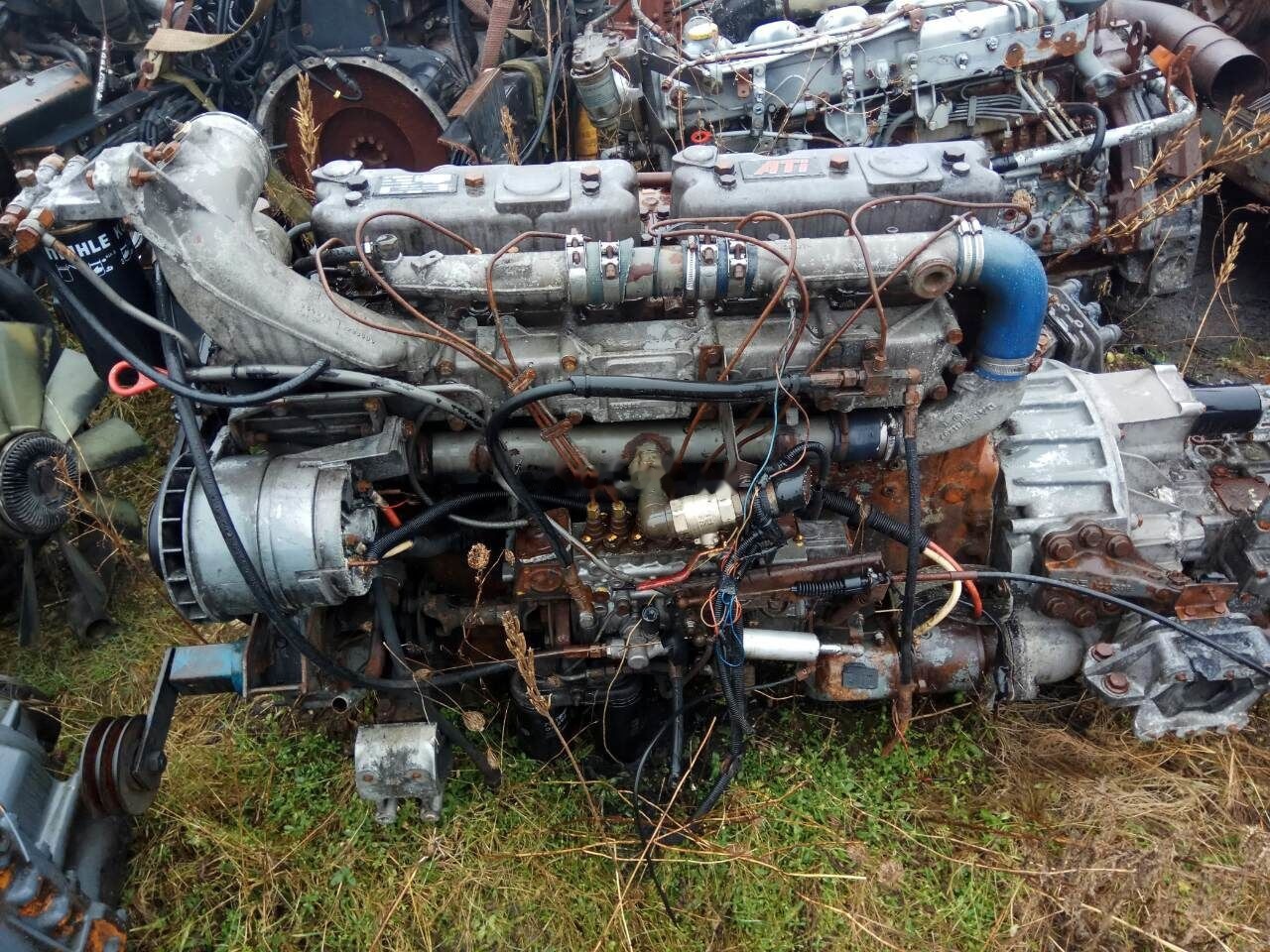 DAF ATI WS315M DAF 95 - Motor - Kamyon: fotoğraf 1 DAF ATI WS315M DAF 95 - Motor - Kamyon: fotoğraf 1