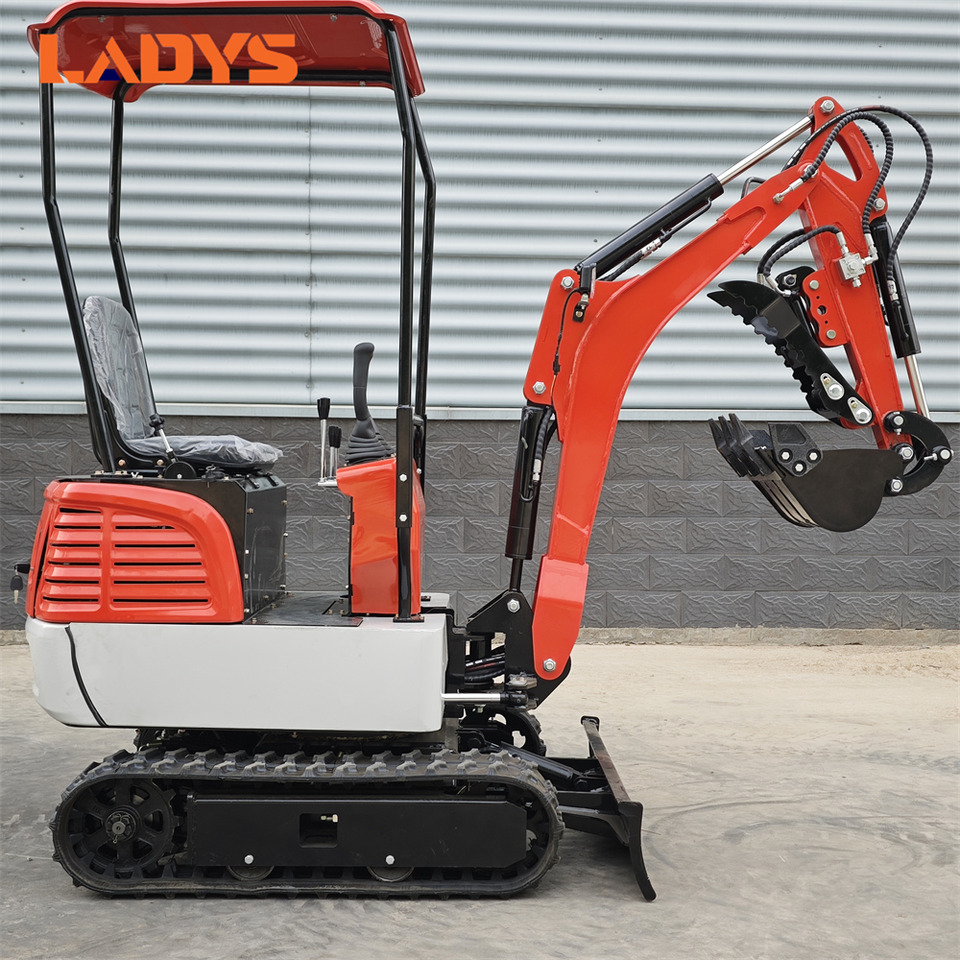 LADYS DY12Pro Mini Excavator CE Certification Kubota Engine(Factory Outlet) Mini Pelle Minibagger Minikoparka Miniexcavadora - Mini ekskavatör: fotoğraf 1 LADYS DY12Pro Mini Excavator CE Certification Kubota Engine(Factory Outlet) Mini Pelle Minibagger Minikoparka Miniexcavadora - Mini ekskavatör: fotoğraf 1