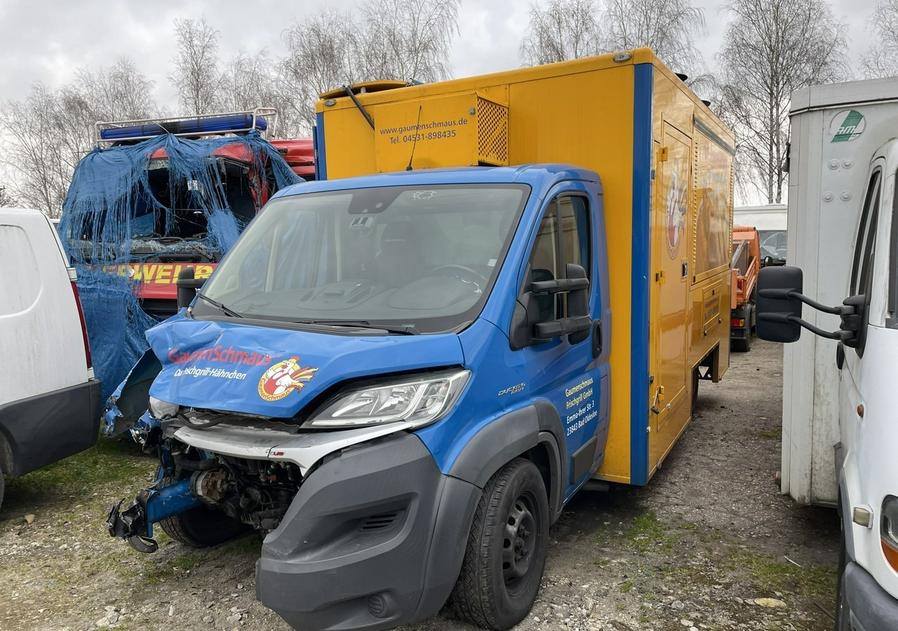 Fiat Ducato Ducato Autogrill Autosklep Foodtruck food truck Gastronomiczny 2018 - Gida kamyon: fotoğraf 3 Fiat Ducato Ducato Autogrill Autosklep Foodtruck food truck Gastronomiczny 2018 - Gida kamyon: fotoğraf 3