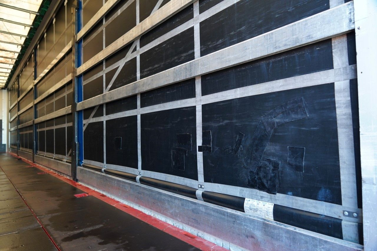 Tenteli dorse Wielton FIRANKA STANDARD / MULDA DO STALI - 9 M / OŚ POD: fotoğraf 17