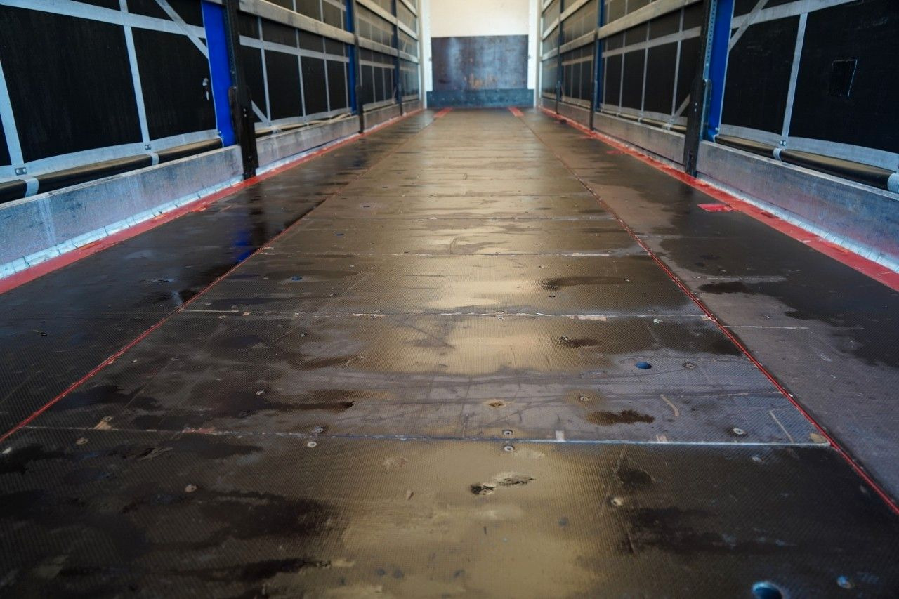 Tenteli dorse Wielton FIRANKA STANDARD / MULDA DO STALI - 9 M / OŚ POD: fotoğraf 19