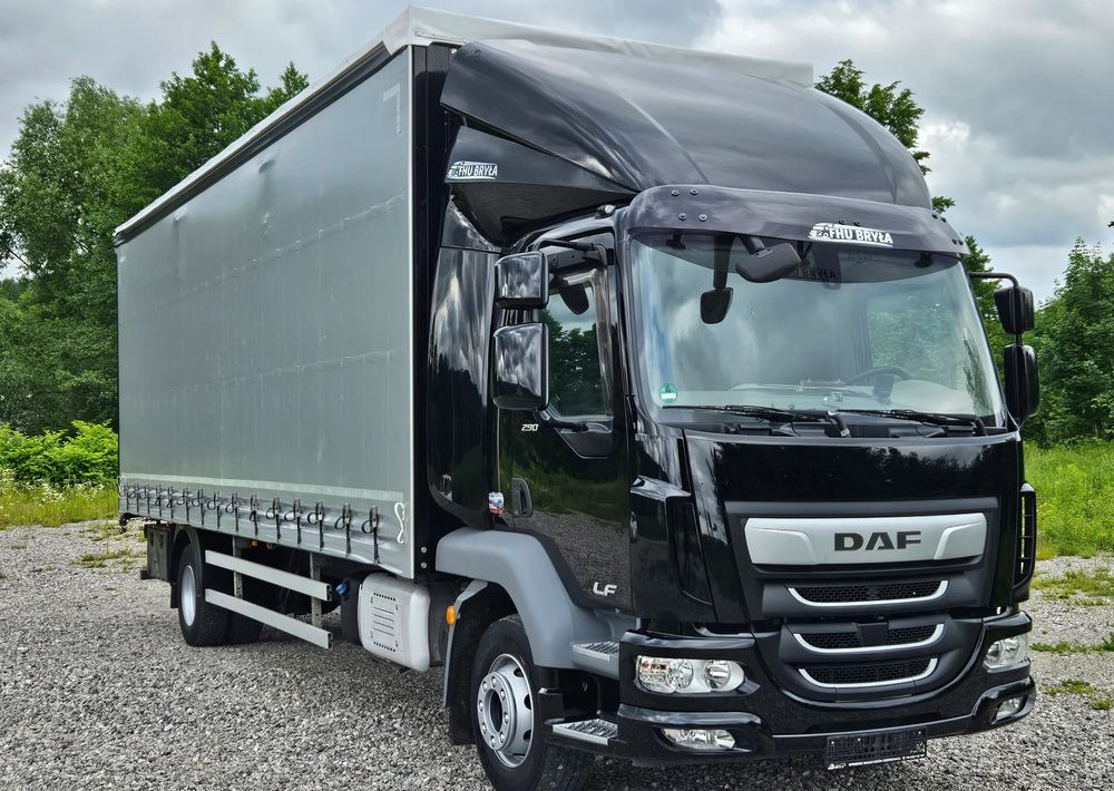 DAF LF 290 / WINDA / 16TON DMC / FIRANKA / AUTOMAT / JEDEN WŁAŚCICIE / EURO 6 / 2019 / SPROWADZONY / 20PALET / NISKI PRZEBIEG / DUŻA ŁADOWNOŚĆ / JAK NOWY - Tenteli kamyon: fotoğraf 3 DAF LF 290 / WINDA / 16TON DMC / FIRANKA / AUTOMAT / JEDEN WŁAŚCICIE / EURO 6 / 2019 / SPROWADZONY / 20PALET / NISKI PRZEBIEG / DUŻA ŁADOWNOŚĆ / JAK NOWY - Tenteli kamyon: fotoğraf 3