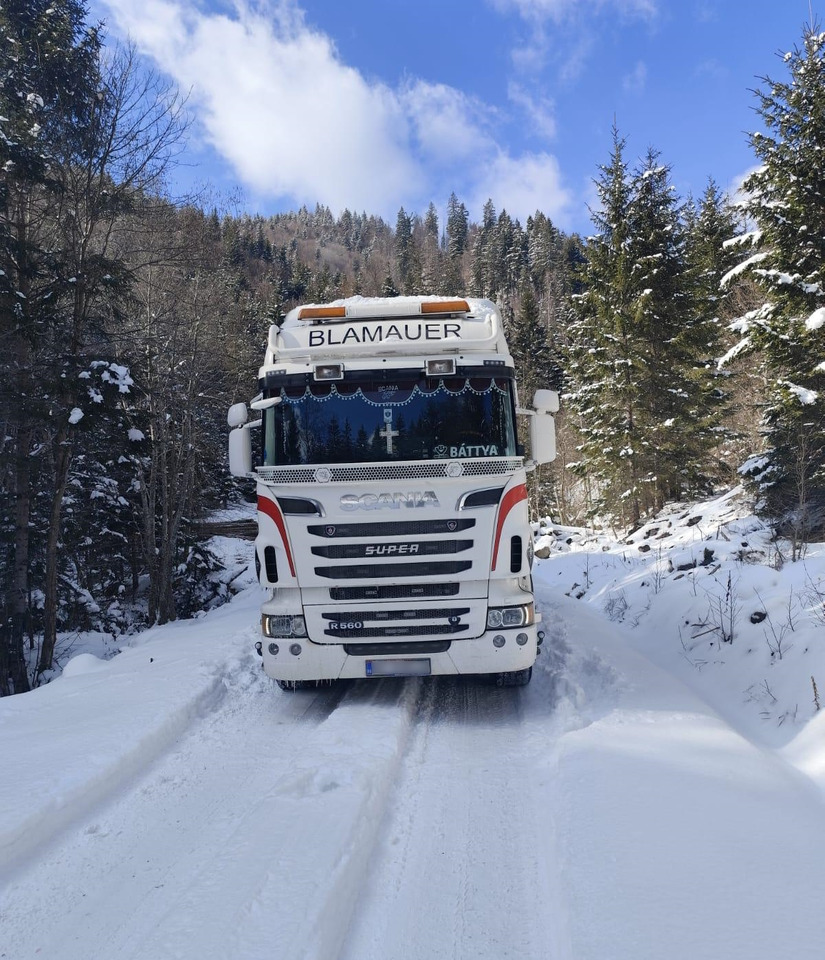 SCANIA R560 V8 - Tomruk kamyonu, Vinçli kamyon: fotoğraf 4 SCANIA R560 V8 - Tomruk kamyonu, Vinçli kamyon: fotoğraf 4