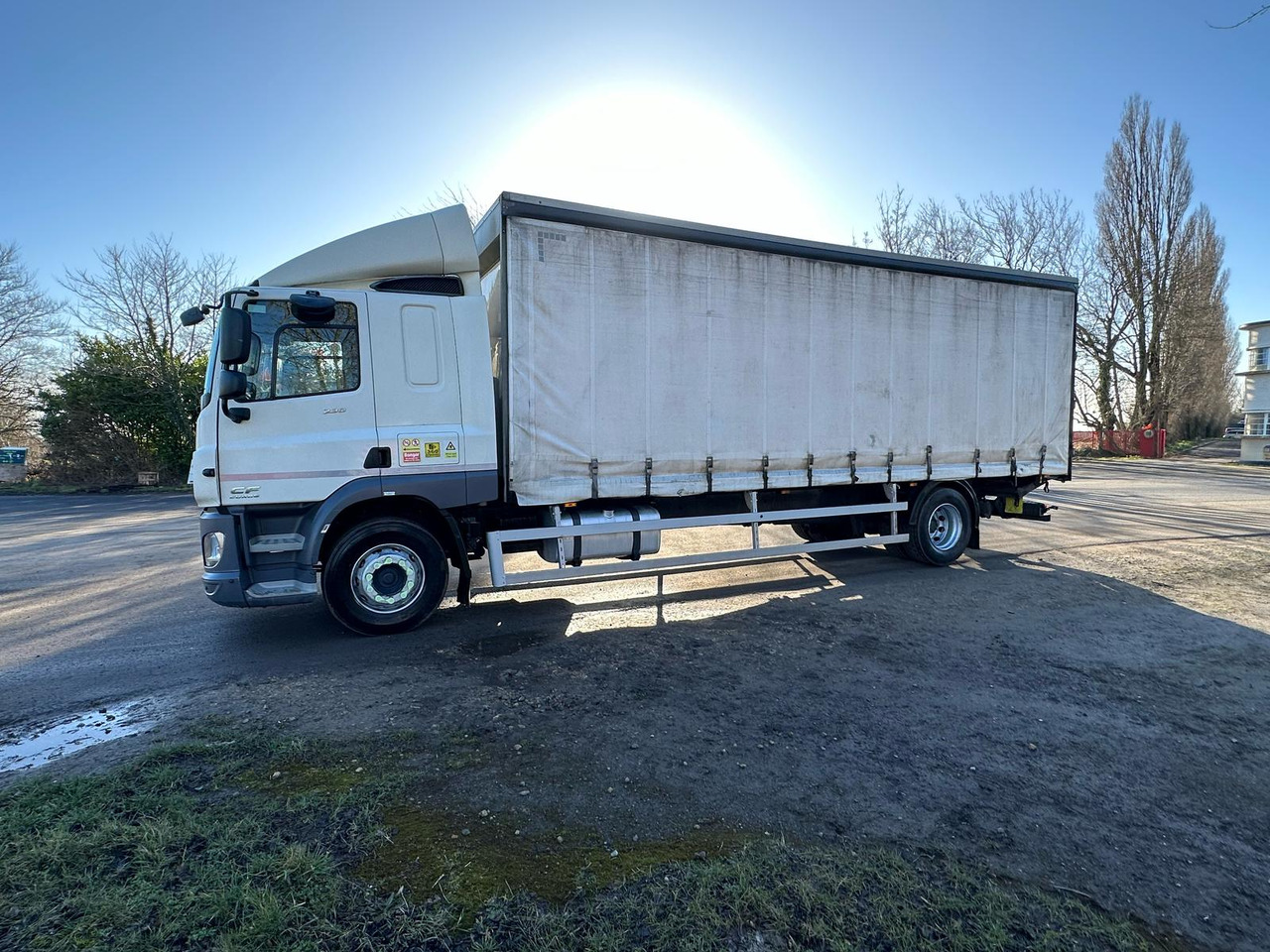 Tenteli kamyon 2017 DAF CF 230 Curtainsider Truck: fotoğraf 12