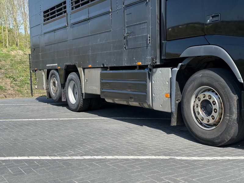 Volvo FH 13.540 STEERING, RETARDER, DOUBLE FLOOR, LIVE STOCK. - Hayvan nakil aracı kamyon: fotoğraf 3 Volvo FH 13.540 STEERING, RETARDER, DOUBLE FLOOR, LIVE STOCK. - Hayvan nakil aracı kamyon: fotoğraf 3