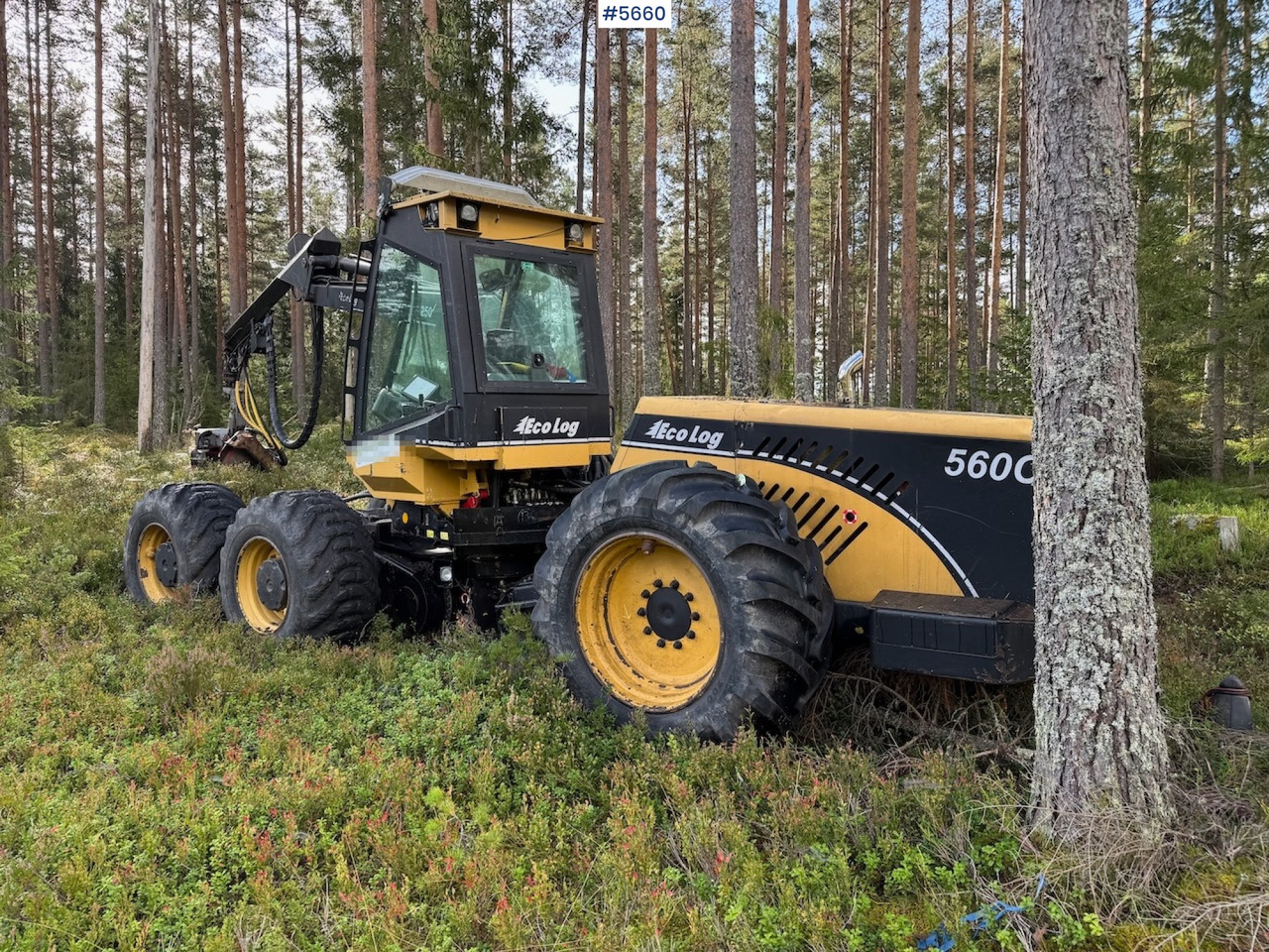 2010 Eco Log 560C. - Harvester: fotoğraf 4 2010 Eco Log 560C. - Harvester: fotoğraf 4