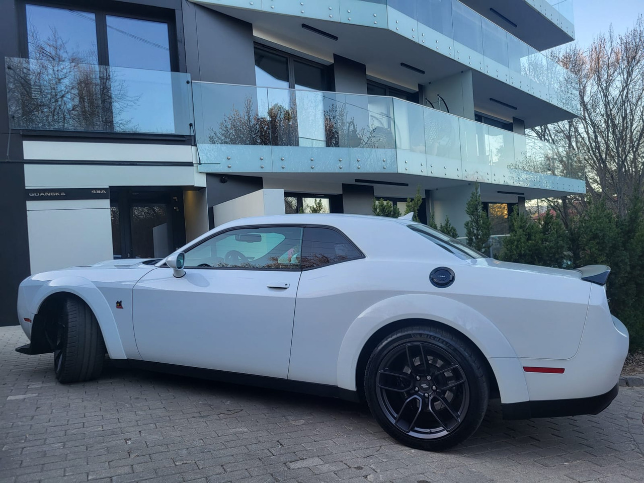 Binek araba Dodge Challenger: fotoğraf 27