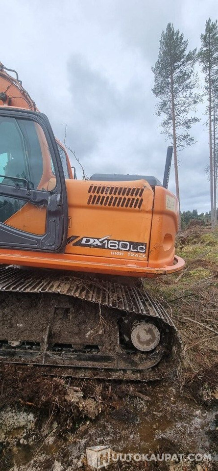 Doosan 160 LC, 2009, Diesel, 8 680 h Metsä alustainen kaivinkone, Leppävirta - İş makinaları: fotoğraf 3 Doosan 160 LC, 2009, Diesel, 8 680 h Metsä alustainen kaivinkone, Leppävirta - İş makinaları: fotoğraf 3