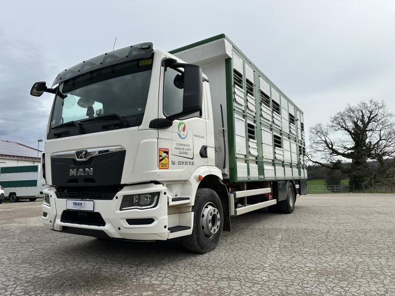 MAN M 90 15.290 TGM - Hayvan nakil aracı kamyon: fotoğraf 3 MAN M 90 15.290 TGM - Hayvan nakil aracı kamyon: fotoğraf 3