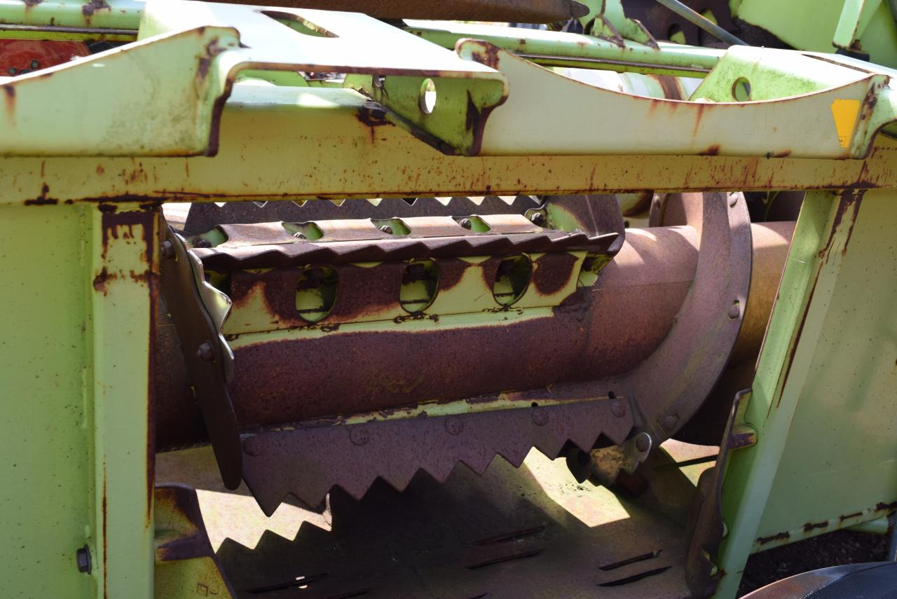 CLAAS RU 600 - Mısır tablası: fotoğraf 4 CLAAS RU 600 - Mısır tablası: fotoğraf 4