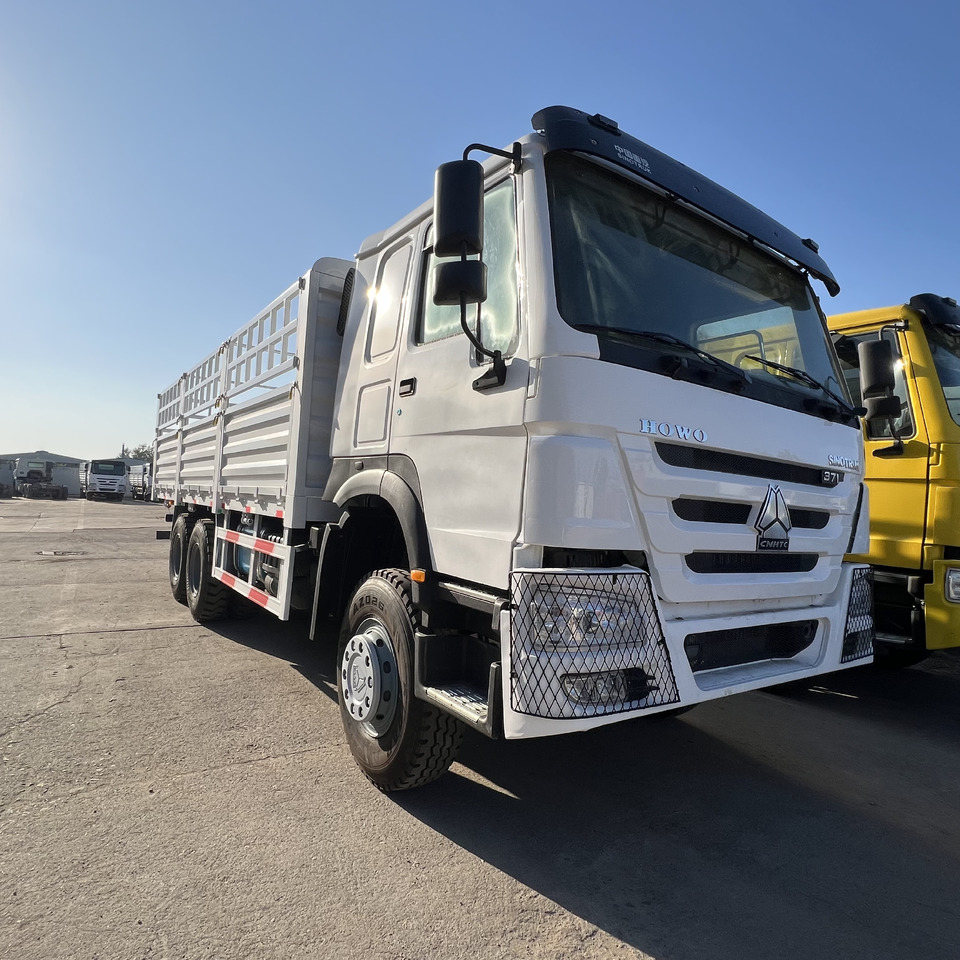 SINOTRUK HOWO - Kamyon: fotoğraf 2 SINOTRUK HOWO - Kamyon: fotoğraf 2