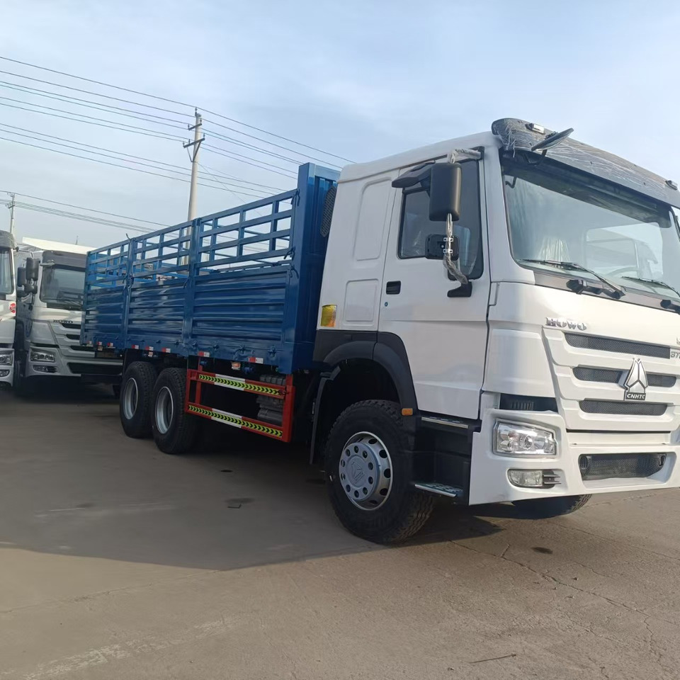 SINOTRUK HOWO - Kamyon: fotoğraf 1 SINOTRUK HOWO - Kamyon: fotoğraf 1