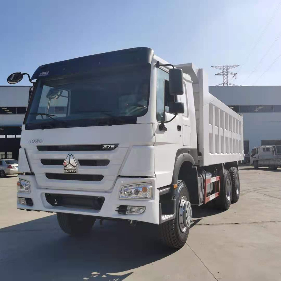 Damperli kamyon SINOTRUK HOWO: fotoğraf 6 Damperli kamyon SINOTRUK HOWO: fotoğraf 6