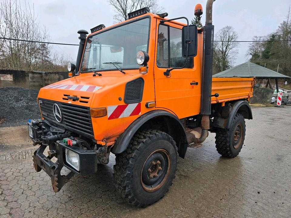 Unimog U1400 Agrar bj. 1995 424 427/10 Mercedes-Benz 1400 1600 1200 1000 - Damperli kamyon, Atık toplama taşıt/ Özel amaçlı taşıt: fotoğraf 1 Unimog U1400 Agrar bj. 1995 424 427/10 Mercedes-Benz 1400 1600 1200 1000 - Damperli kamyon, Atık toplama taşıt/ Özel amaçlı taşıt: fotoğraf 1