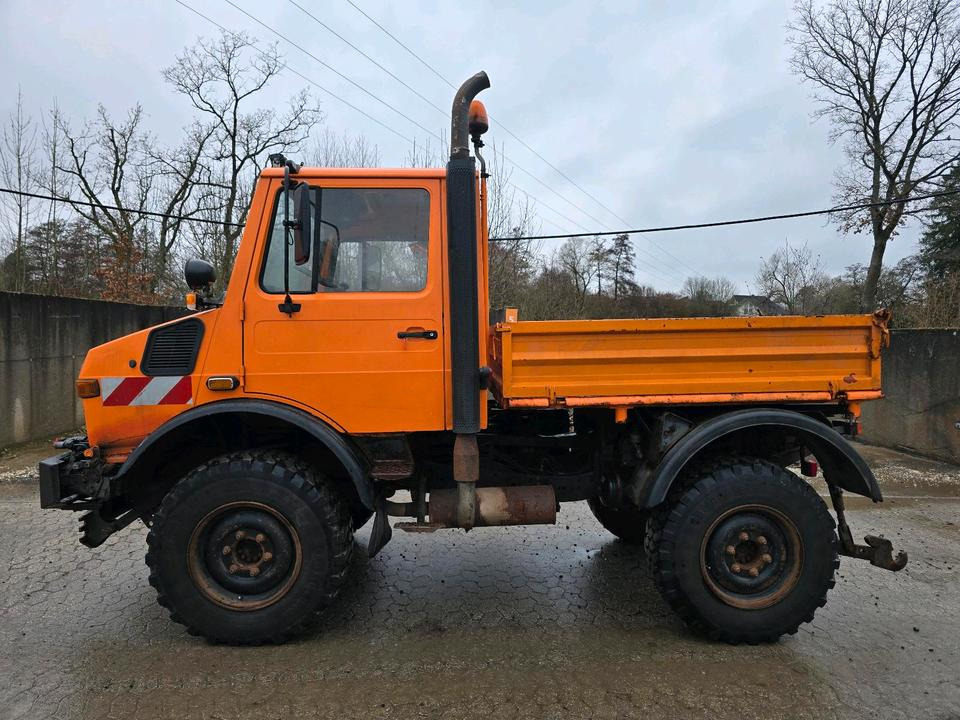 Unimog U1400 Agrar bj. 1995 424 427/10 Mercedes-Benz 1400 1600 1200 1000 - Damperli kamyon, Atık toplama taşıt/ Özel amaçlı taşıt: fotoğraf 5 Unimog U1400 Agrar bj. 1995 424 427/10 Mercedes-Benz 1400 1600 1200 1000 - Damperli kamyon, Atık toplama taşıt/ Özel amaçlı taşıt: fotoğraf 5