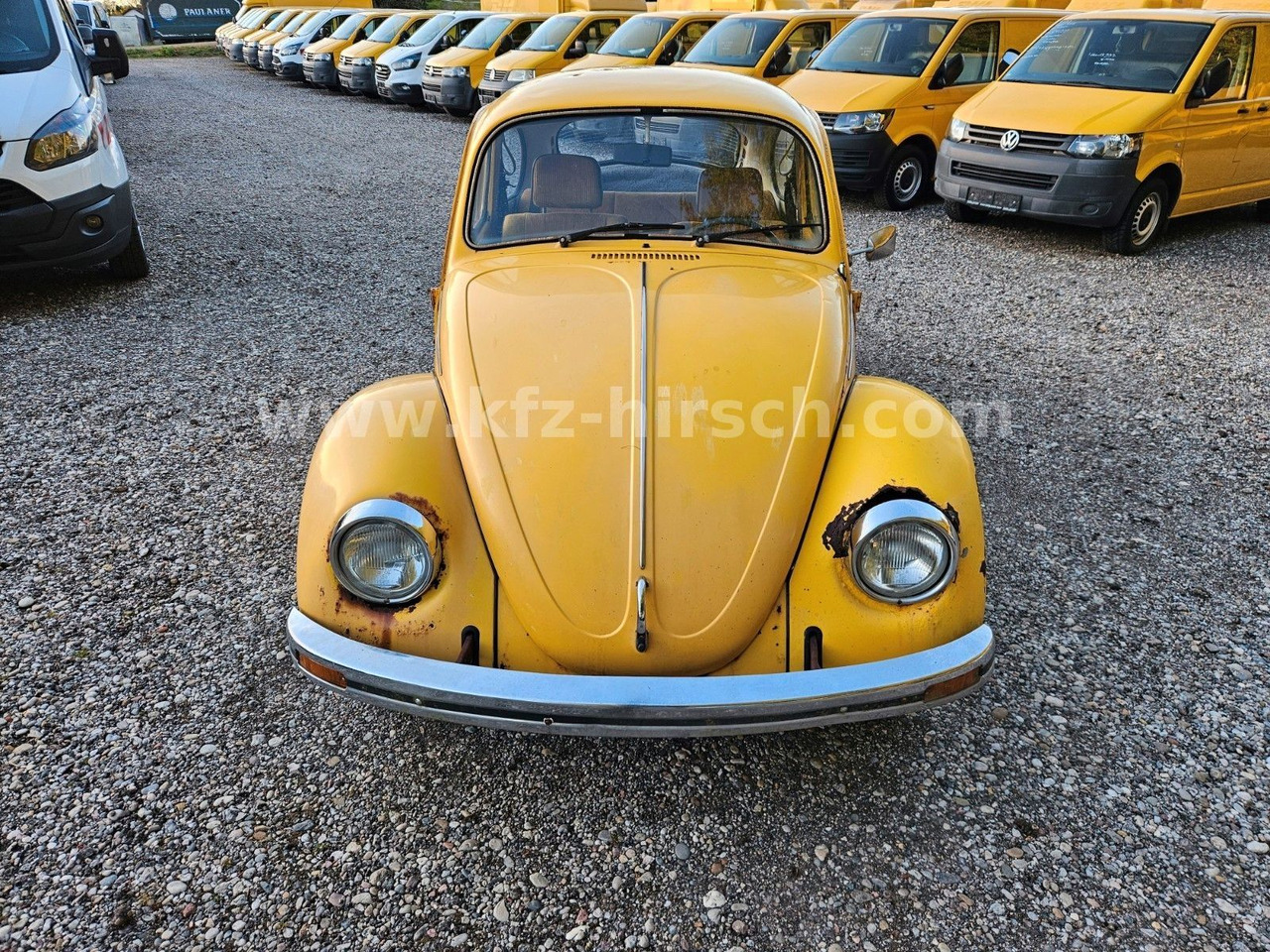 Volkswagen Käfer Sunny Bug Sondermodell 2.Hand - Sedan araba: fotoğraf 5 Volkswagen Käfer Sunny Bug Sondermodell 2.Hand - Sedan araba: fotoğraf 5