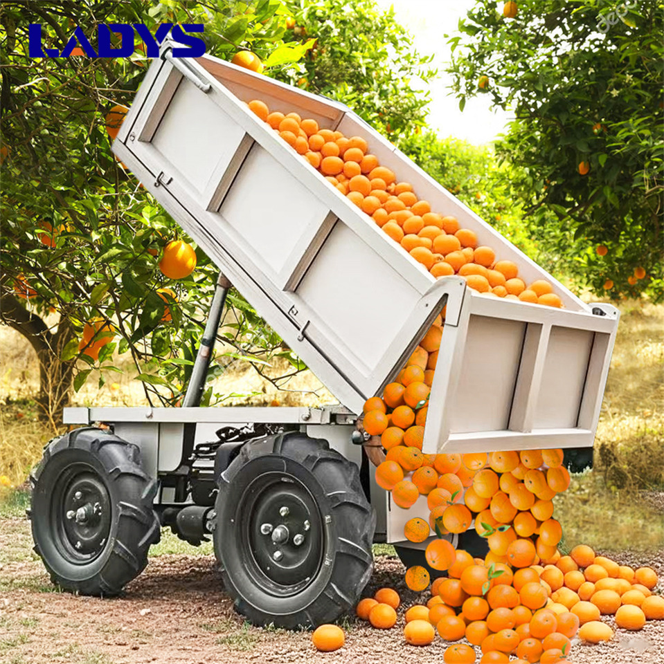 LADYS Electric Remote Control Transporter Agricultural Orchard Farm Electric Utv Dump Trailer Material Handling Equipment All Terrain Transport Vehicle - ATV: fotoğraf 1 LADYS Electric Remote Control Transporter Agricultural Orchard Farm Electric Utv Dump Trailer Material Handling Equipment All Terrain Transport Vehicle - ATV: fotoğraf 1