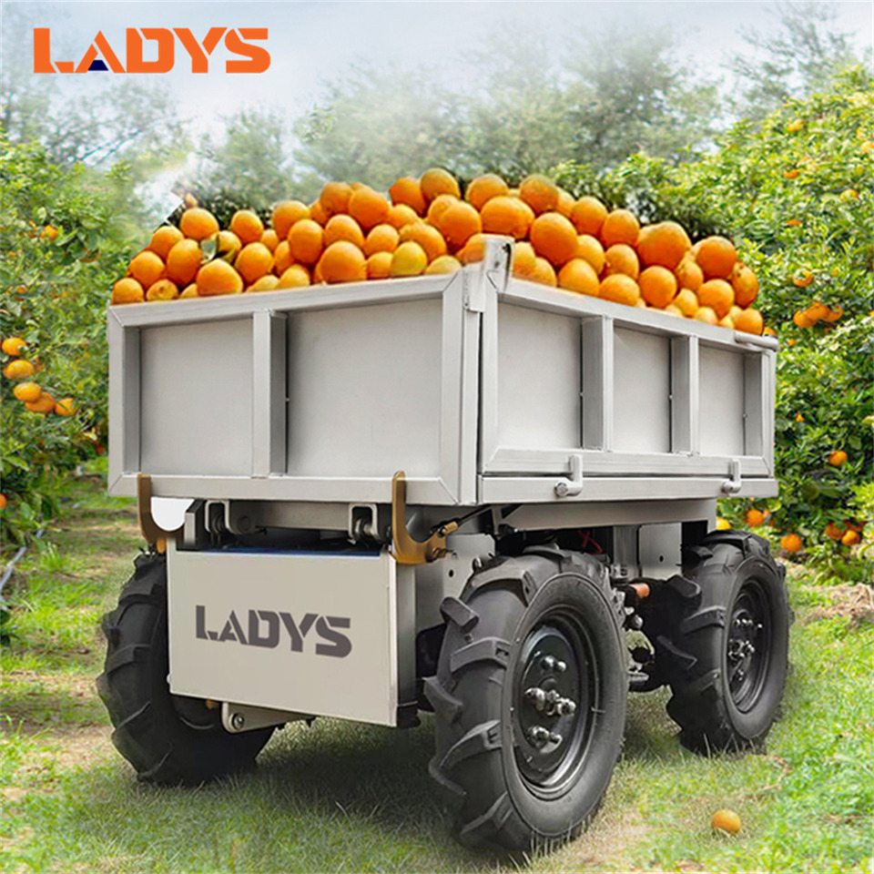 LADYS Electric Remote Control Transporter Agricultural Orchard Farm Electric Utv Material Handling Equipment All Terrain Transport Vehicle - ATV: fotoğraf 1 LADYS Electric Remote Control Transporter Agricultural Orchard Farm Electric Utv Material Handling Equipment All Terrain Transport Vehicle - ATV: fotoğraf 1