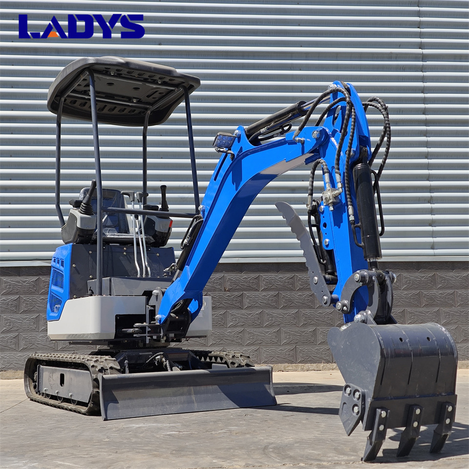 LADYS DY18Mini Excavator Digger Miniexcavadora EPA Kubota Engine Mini Excavator For Sale With Mini Excavator Attachment Set - Paletli ekskavatör: fotoğraf 4 LADYS DY18Mini Excavator Digger Miniexcavadora EPA Kubota Engine Mini Excavator For Sale With Mini Excavator Attachment Set - Paletli ekskavatör: fotoğraf 4
