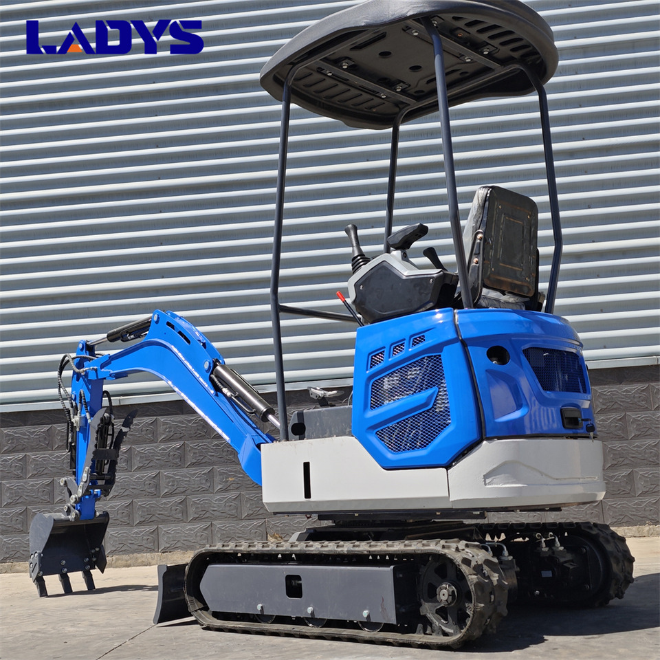 LADYS DY18Mini Excavator Digger Miniexcavadora EPA Kubota Engine Mini Excavator For Sale With Mini Excavator Attachment Set - Paletli ekskavatör: fotoğraf 3 LADYS DY18Mini Excavator Digger Miniexcavadora EPA Kubota Engine Mini Excavator For Sale With Mini Excavator Attachment Set - Paletli ekskavatör: fotoğraf 3