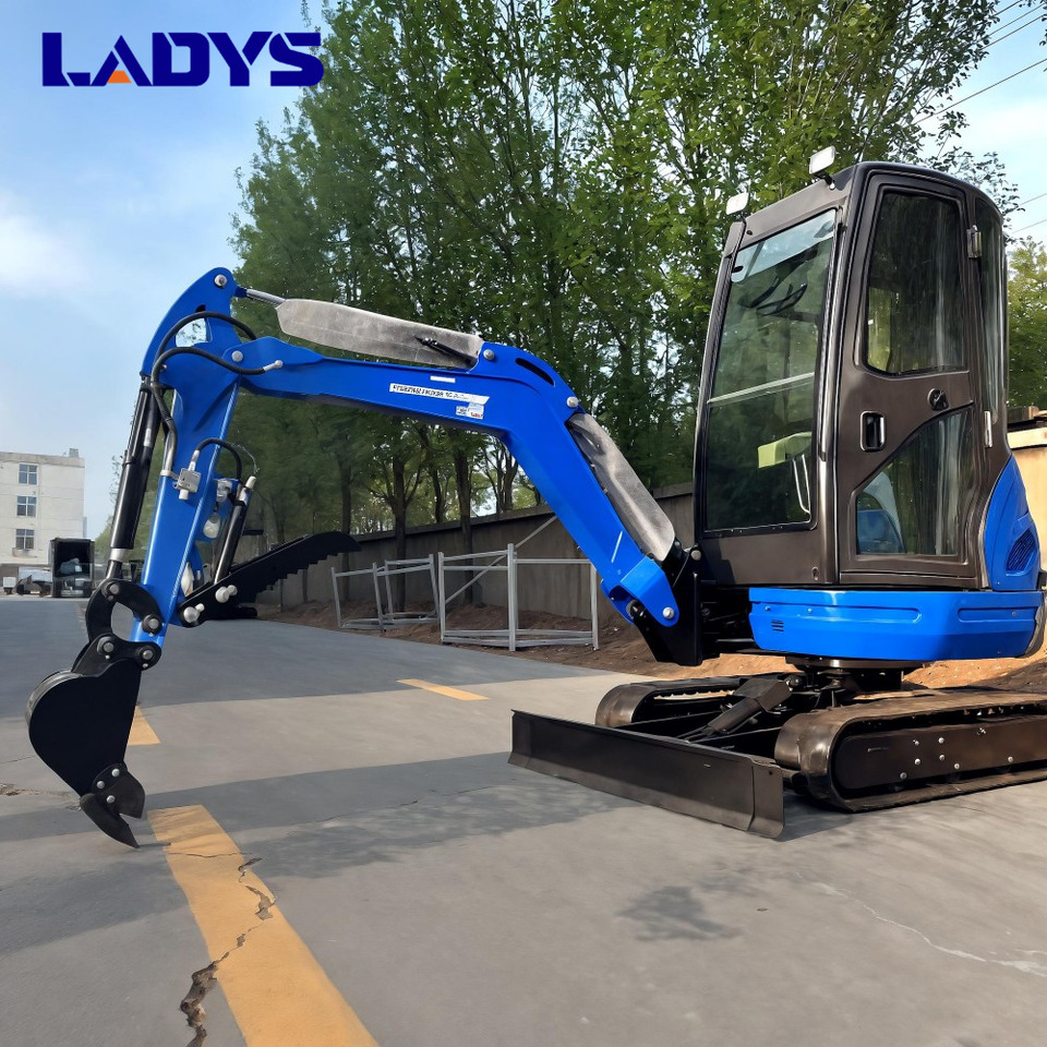 LADYS DY25U Mini Excavator Digger Miniexcavadora EPA Kubota Engine Mini Excavator For Sale With Mini Excavator Attachment Set - Paletli ekskavatör: fotoğraf 4 LADYS DY25U Mini Excavator Digger Miniexcavadora EPA Kubota Engine Mini Excavator For Sale With Mini Excavator Attachment Set - Paletli ekskavatör: fotoğraf 4