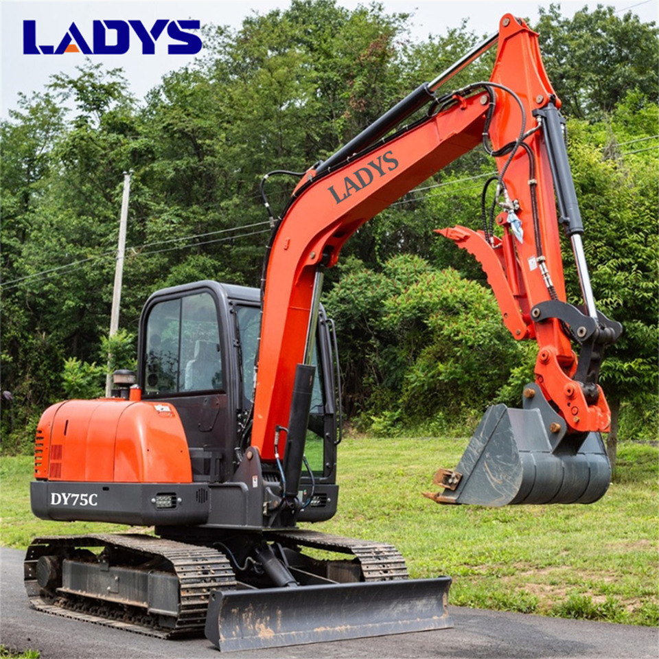 LADYS DY75C Small Excavator Euro 5/Epa Yanmar Engine Small Excavator Crawler Excavator For Sale - Paletli ekskavatör: fotoğraf 4 LADYS DY75C Small Excavator Euro 5/Epa Yanmar Engine Small Excavator Crawler Excavator For Sale - Paletli ekskavatör: fotoğraf 4