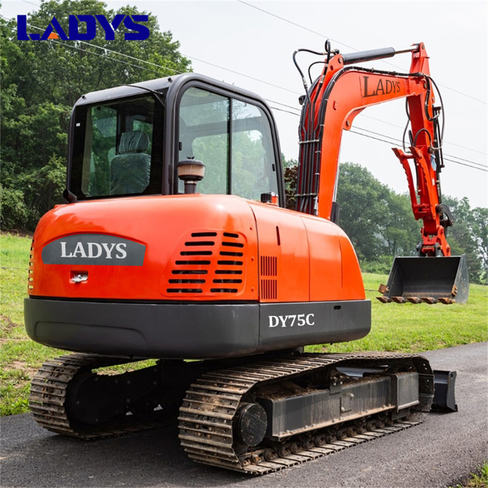 LADYS DY75C Small Excavator Euro 5/Epa Yanmar Engine Small Excavator Crawler Excavator For Sale - Paletli ekskavatör: fotoğraf 3 LADYS DY75C Small Excavator Euro 5/Epa Yanmar Engine Small Excavator Crawler Excavator For Sale - Paletli ekskavatör: fotoğraf 3