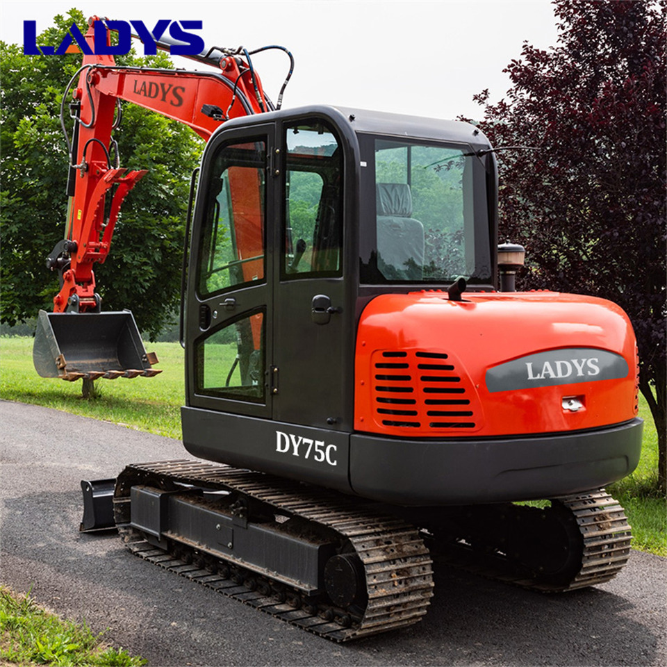 LADYS DY75C Small Excavator Euro 5/Epa Yanmar Engine Small Excavator Crawler Excavator For Sale - Paletli ekskavatör: fotoğraf 5 LADYS DY75C Small Excavator Euro 5/Epa Yanmar Engine Small Excavator Crawler Excavator For Sale - Paletli ekskavatör: fotoğraf 5