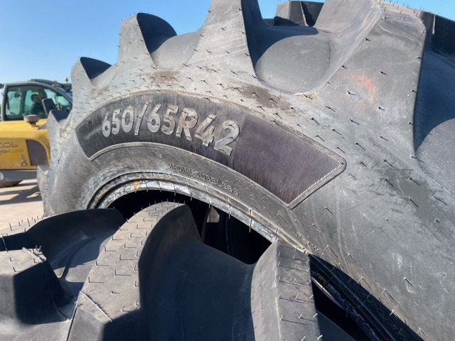 CEAT 650/65R42 - Lastik: fotoğraf 2 CEAT 650/65R42 - Lastik: fotoğraf 2