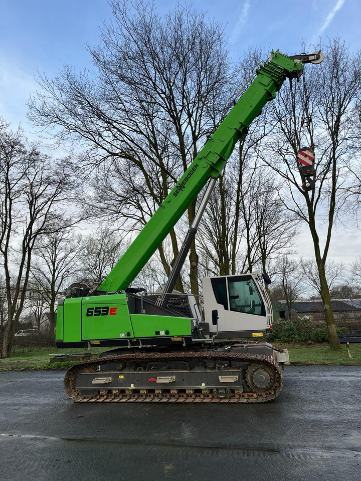 SENNEBOGEN 653 R - E - Paletli vinç: fotoğraf 1 SENNEBOGEN 653 R - E - Paletli vinç: fotoğraf 1