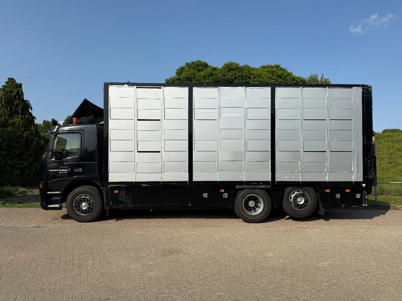 Volvo FM 300 Livestock Cuppers 3 laags 6x2 - Hayvan nakil aracı kamyon: fotoğraf 4 Volvo FM 300 Livestock Cuppers 3 laags 6x2 - Hayvan nakil aracı kamyon: fotoğraf 4