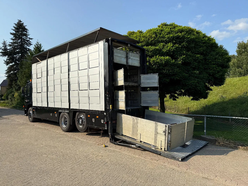 Volvo FM 300 Livestock Cuppers 3 laags 6x2 - Hayvan nakil aracı kamyon: fotoğraf 2 Volvo FM 300 Livestock Cuppers 3 laags 6x2 - Hayvan nakil aracı kamyon: fotoğraf 2