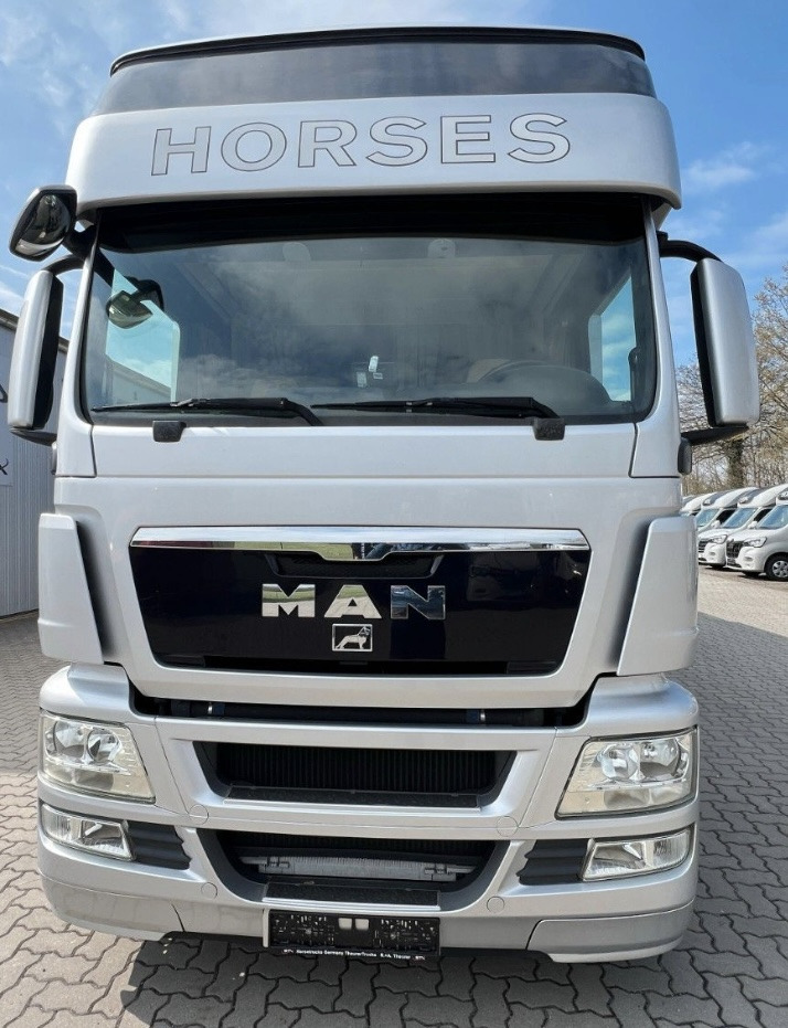 MAN 26.480 5 pferde - At taşıma aracı: fotoğraf 2 MAN 26.480 5 pferde - At taşıma aracı: fotoğraf 2