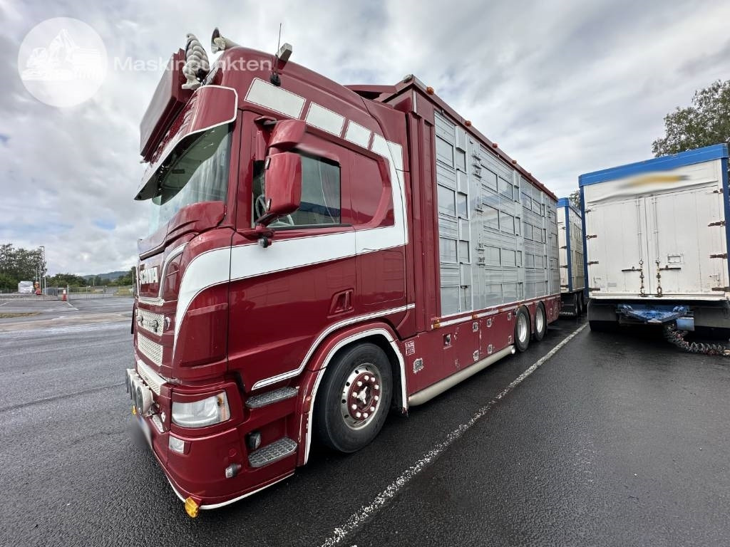 Scania R 580 Ekipage - Hayvan nakil aracı kamyon: fotoğraf 2 Scania R 580 Ekipage - Hayvan nakil aracı kamyon: fotoğraf 2