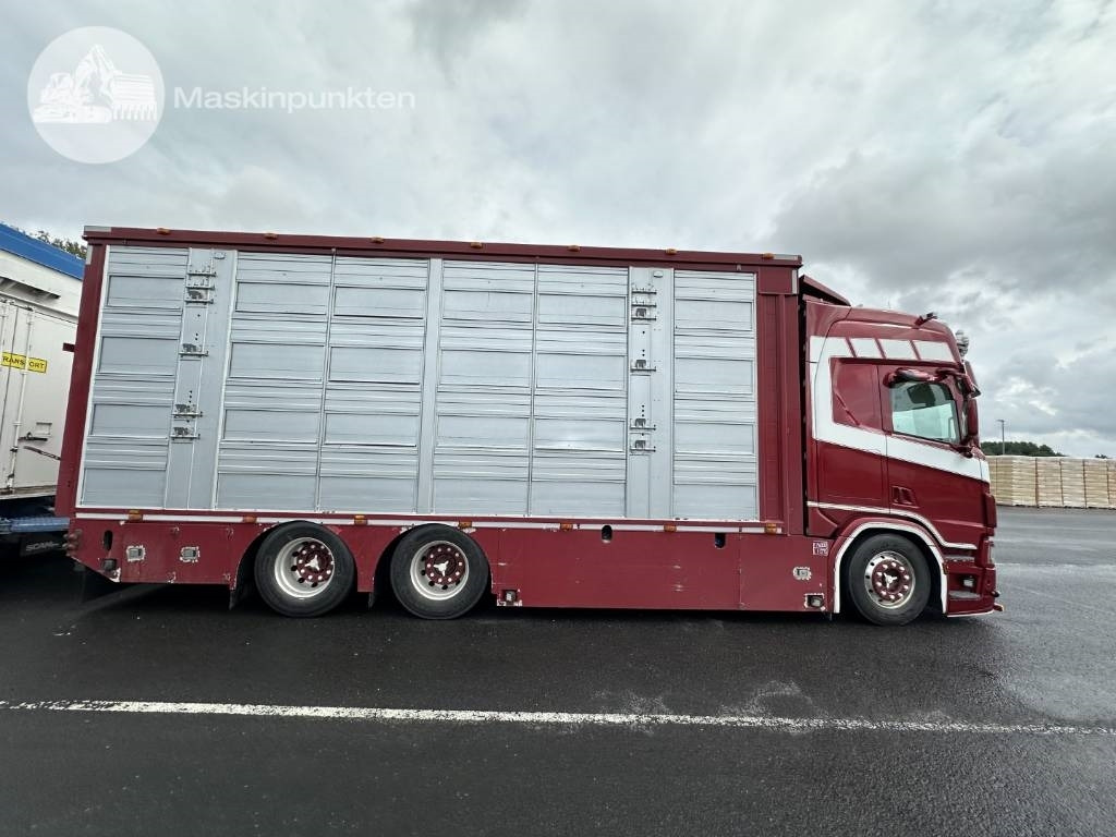 Scania R 580 Ekipage - Hayvan nakil aracı kamyon: fotoğraf 5 Scania R 580 Ekipage - Hayvan nakil aracı kamyon: fotoğraf 5