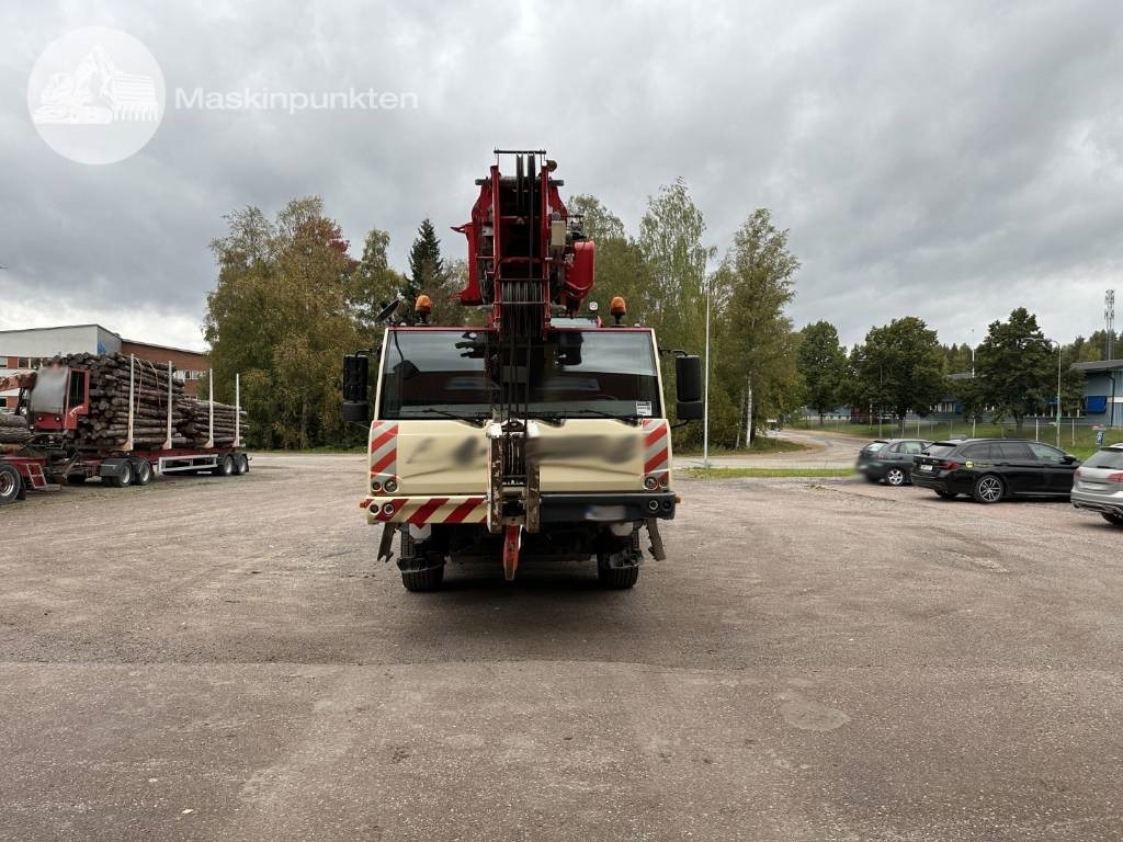 Terex TC 45 L - All-terrain vinç: fotoğraf 5 Terex TC 45 L - All-terrain vinç: fotoğraf 5