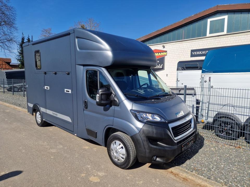 MSG Stablehopper Pferdetransporter Pferdeanhänger Böckmann - At taşıma aracı: fotoğraf 3 MSG Stablehopper Pferdetransporter Pferdeanhänger Böckmann - At taşıma aracı: fotoğraf 3