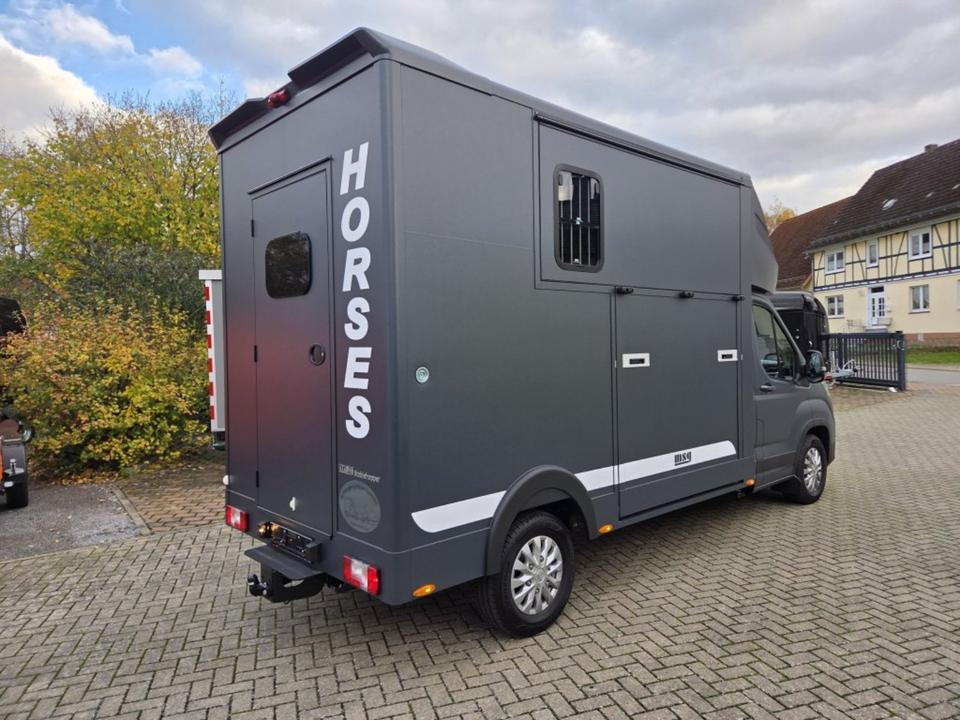 MSG Stablehopper Pferdetransporter Pferdeanhänger Böckmann - At taşıma aracı: fotoğraf 3 MSG Stablehopper Pferdetransporter Pferdeanhänger Böckmann - At taşıma aracı: fotoğraf 3